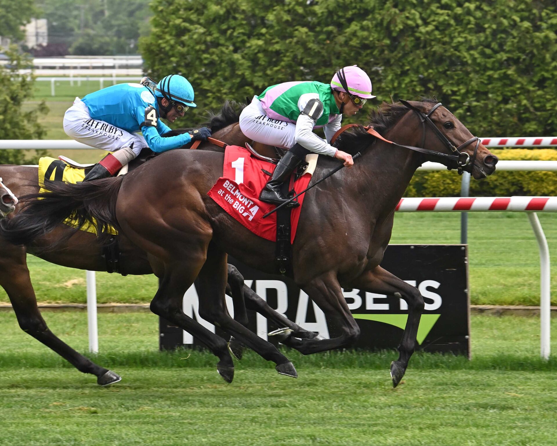 Segesta, horses, Ghostzapper, Wonder Again Stakes, lunes, 27 de mayo de 2024, Belmont At The Big A. Foto: Coglianese Photo & Susie Raisher