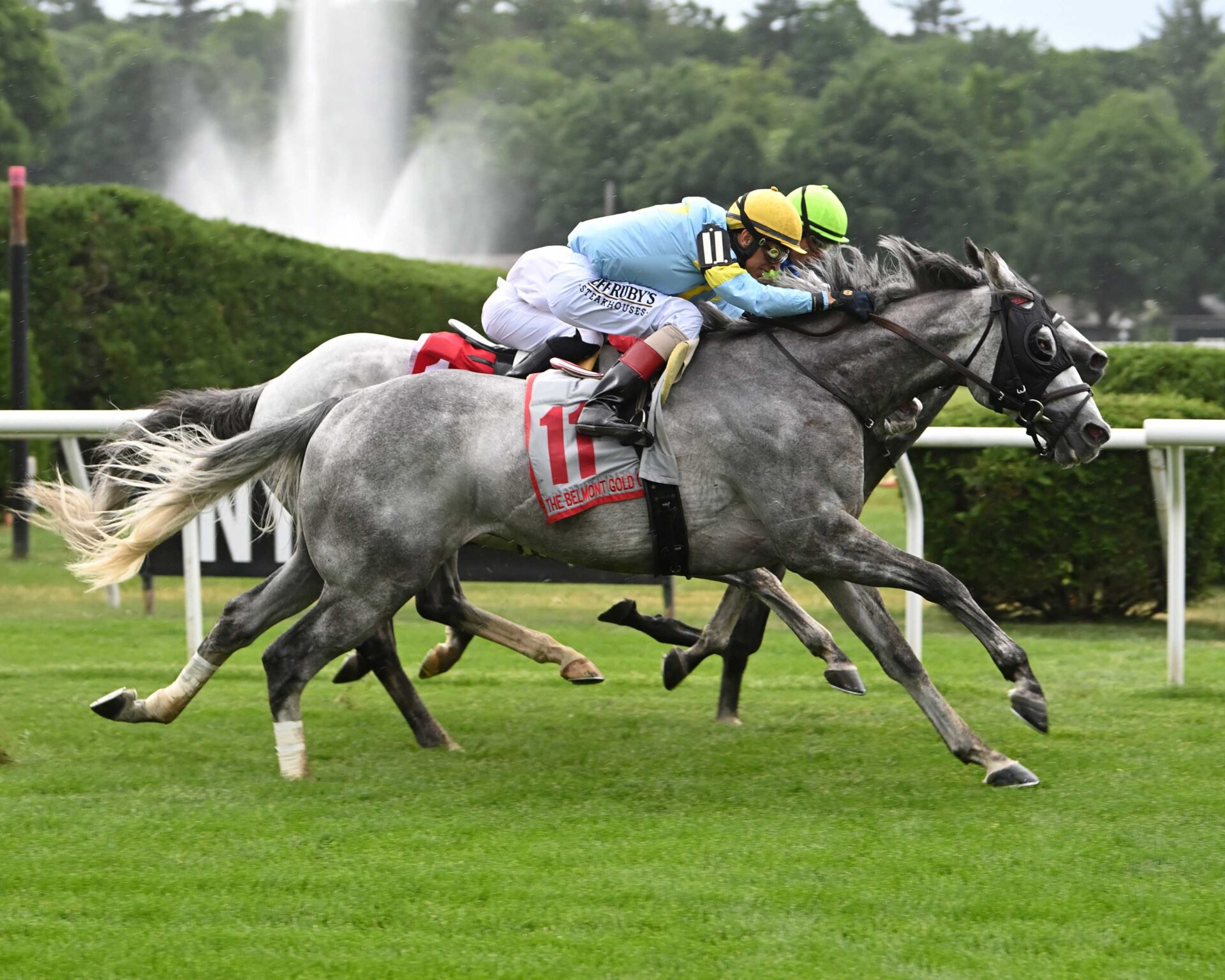 The Grey Wizard, Horses, Caravaggio, Belmont Gold Cup Stakes, jueves, 6 de junio de 2024, Saratoga. Foto: Coglianese Photo