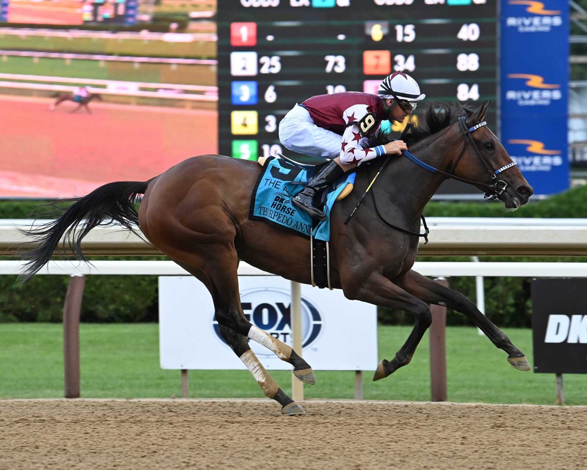 Thorpedo Anna, Horses, Fast Anna, DK Horse Acorn Stakes, viernes, 7 de junio de 2024, Saratoga. Foto: Coglianese Photo & Susie Raisher