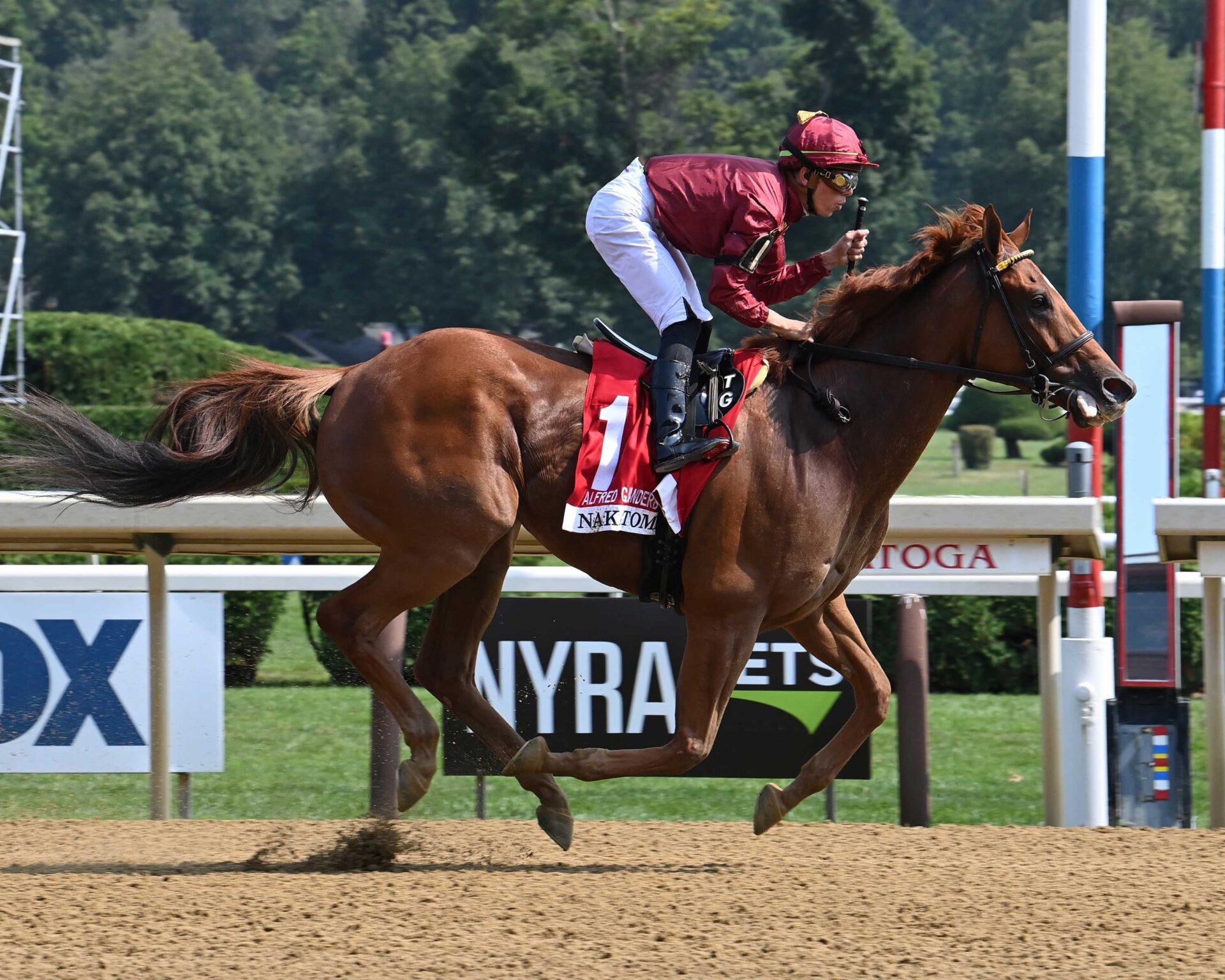 Nakatomi, Horses, Firling Line, Alfred Vanderbilt Hándicap, sábado, 27 de julio de 2024, Saratoga. Foto: Coglaniese Photo & Susie Raisher
