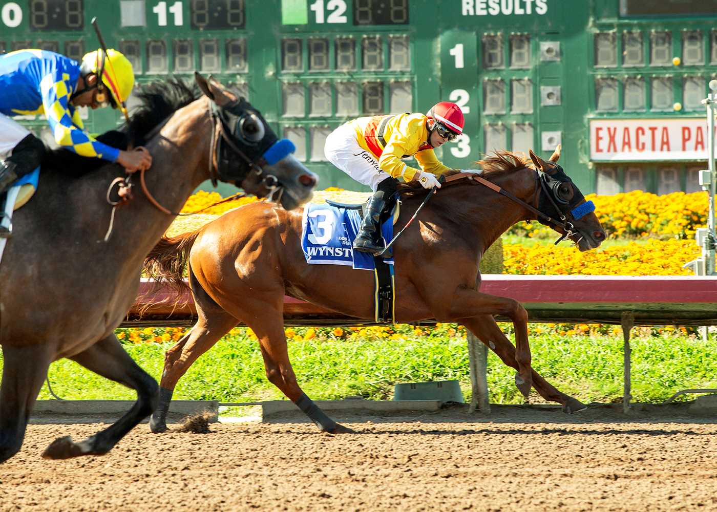 Wynstock, Horses, Empire Equines LLC, Los Alamitos Derby, domingo, 30 de junio de 2024, Los Alamitos. Foto: Benoit Photo
