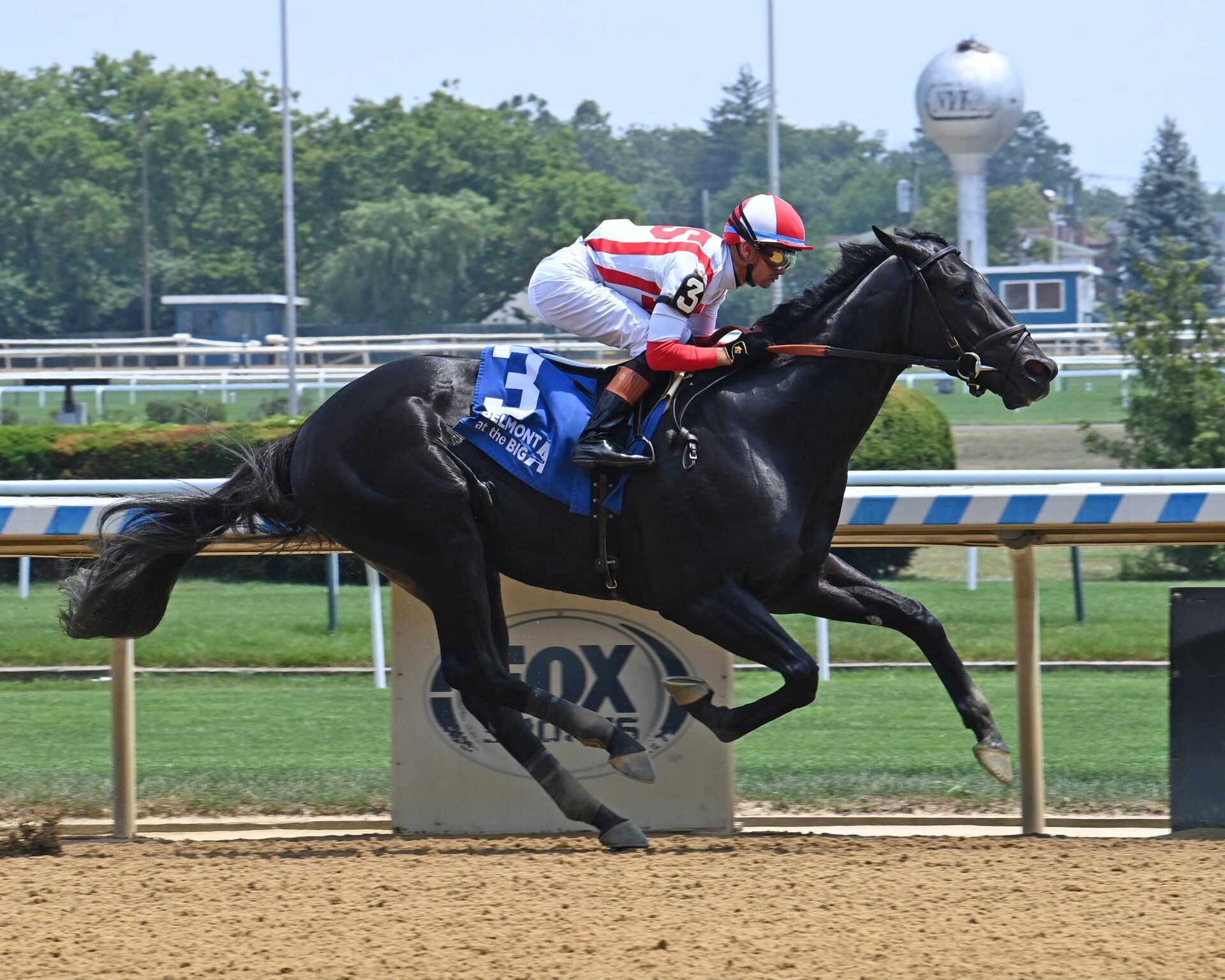 Domestic Product, horse, Klaravich Stables, Dwyer Stakes, sábado, 6 de julio de 2024, Belmont Park. Foto: Coglianese Photo & Susie Raisher