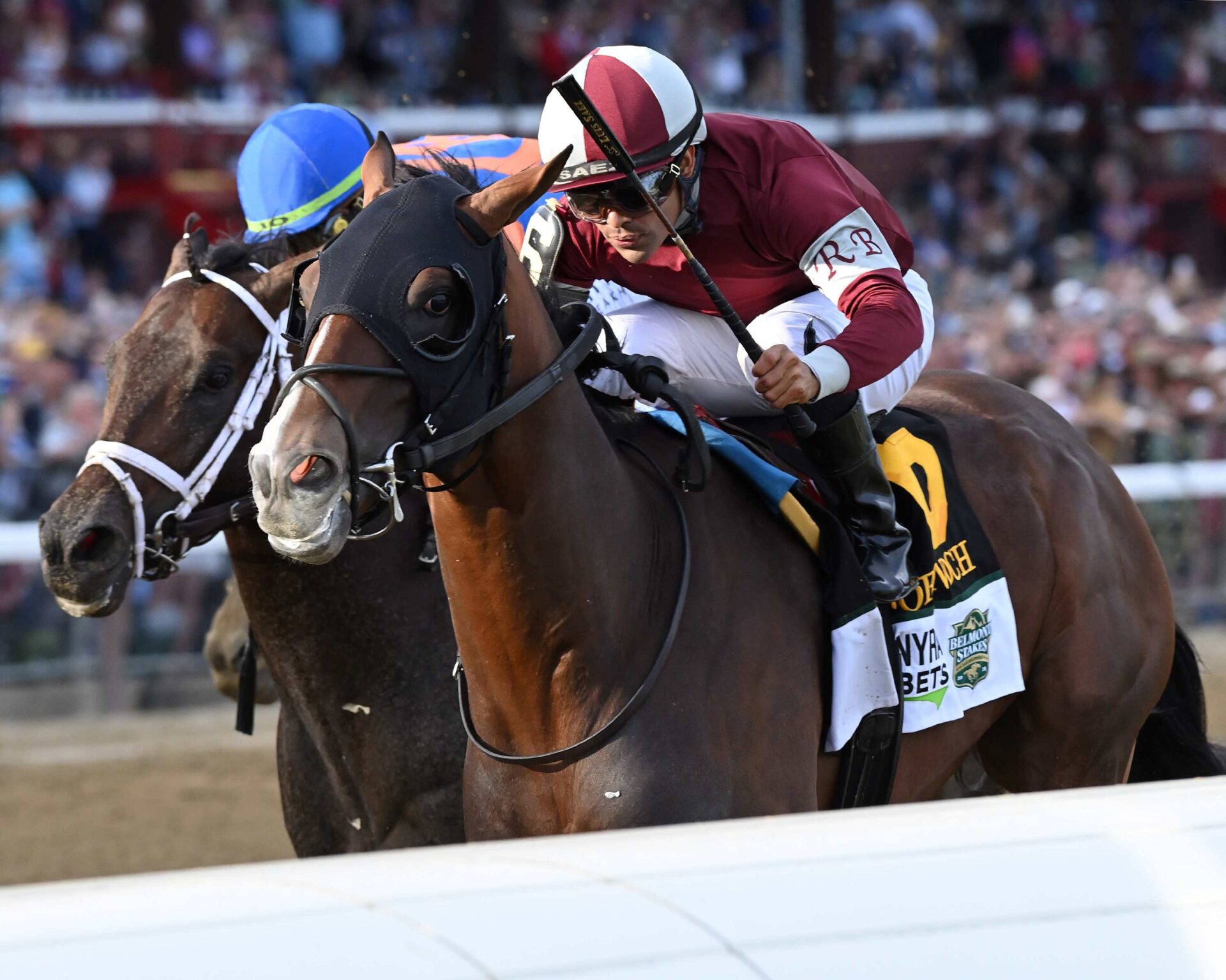 Dornoch, horse, Good Magic, Belmont Stakes, Belmont Stakes, sábado, 8 de junio de 2024, Saratoga. Foto: Coglaniese Photo & RyanThompson