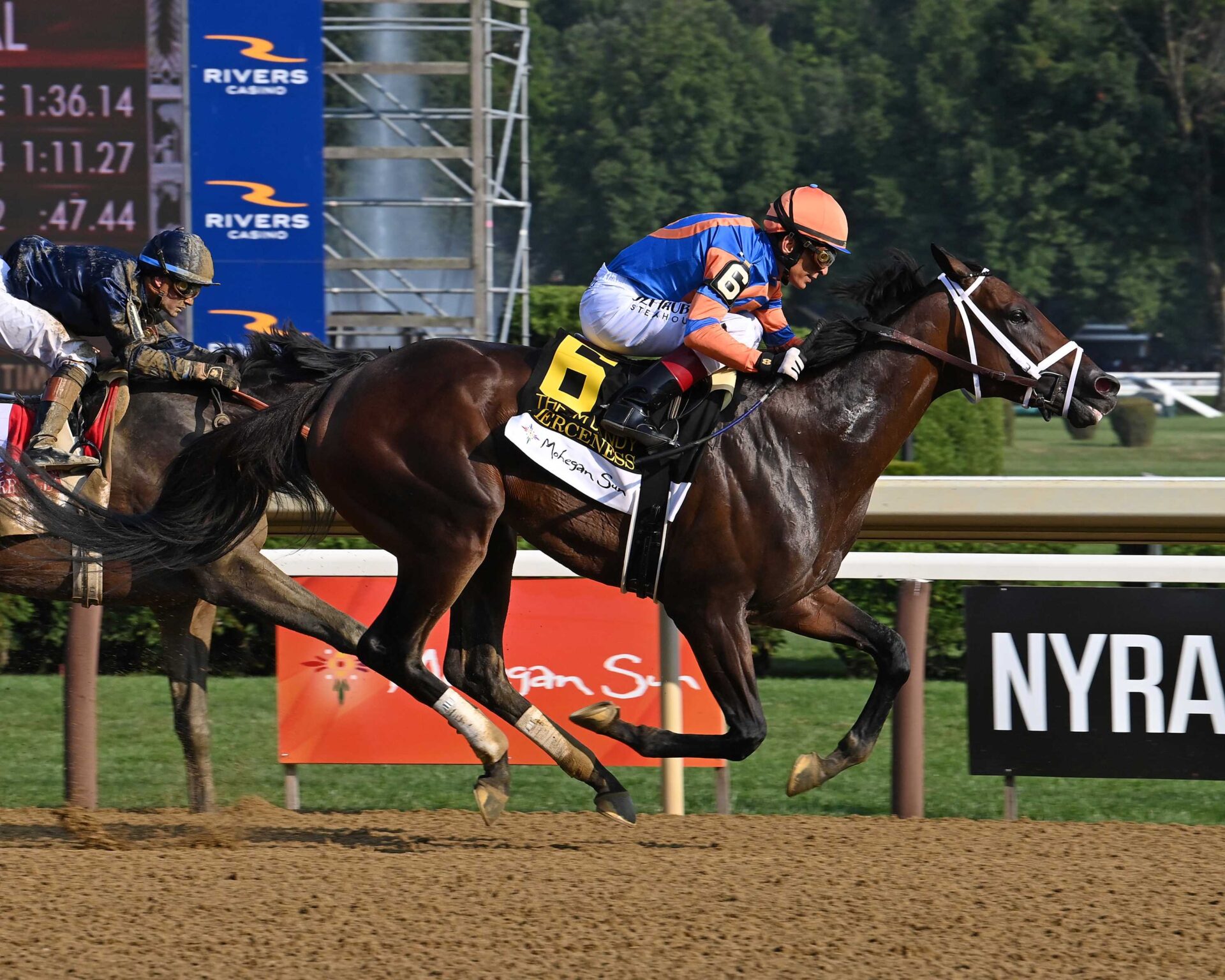 Fierceness, horse, City Of Light, Jim Dandy, sábado, 27 de julio de 2024, Saratoga. Foto: Coglaniese Photo & Susie Raisher