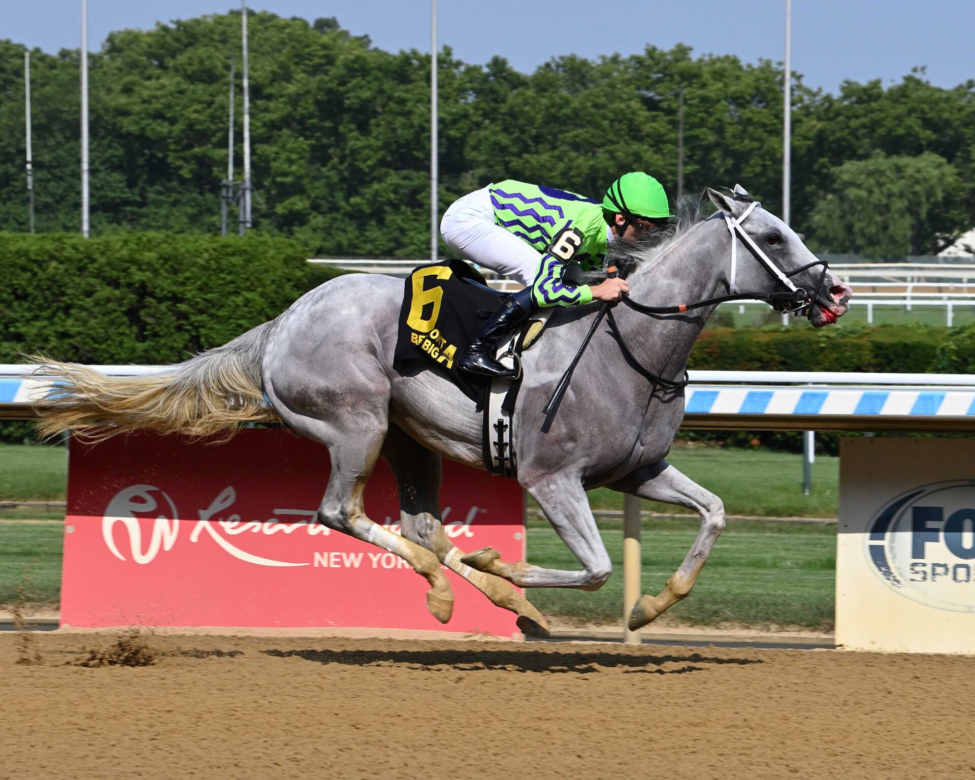 Next, horse, Not This Time, Brooklyn Stakes, viernes, 5 de julio de 2024, Belmont At The Big A. Foto: Coglianese Photo & Susie Raisher