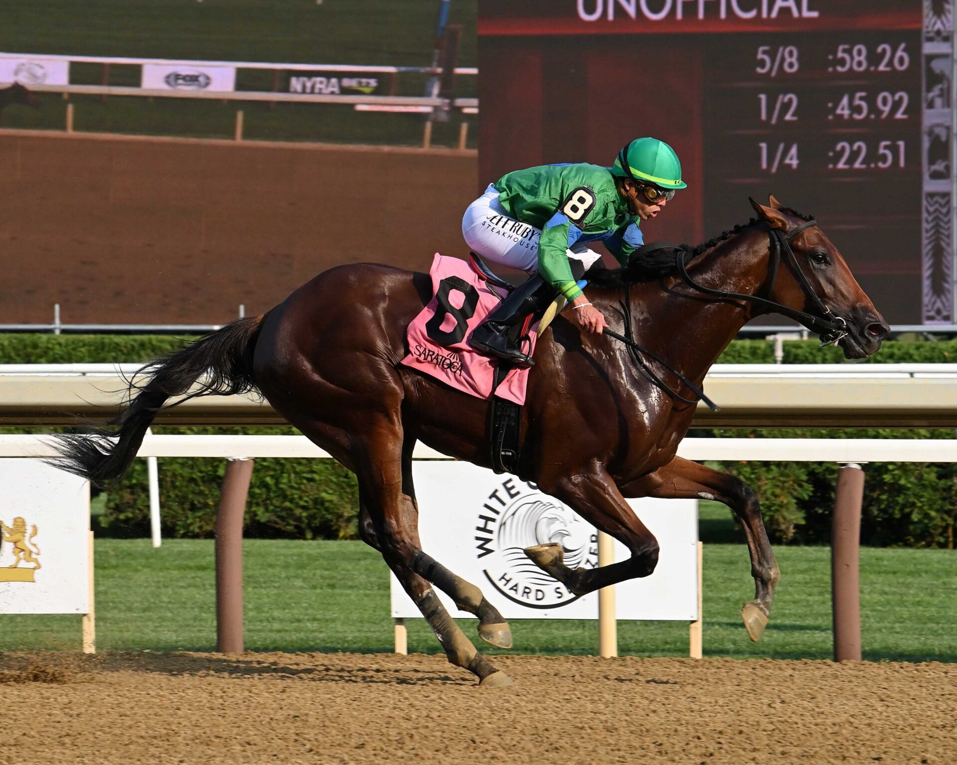 Mo Plex, horse, Complexity, Sanford Stakes, sábado, 13 de julio de 2024, Saratoga. Foto: Coglaniese Photo & Susie Raisher