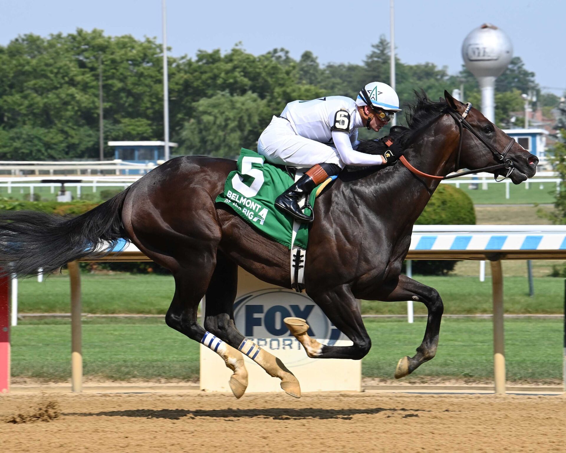 Mullikin, horse, Violence, John A. Nerud Stakes, sábado, 6 de julio de 2024, Belmont Park. Foto: Coglianese Photo & Susie Raisher