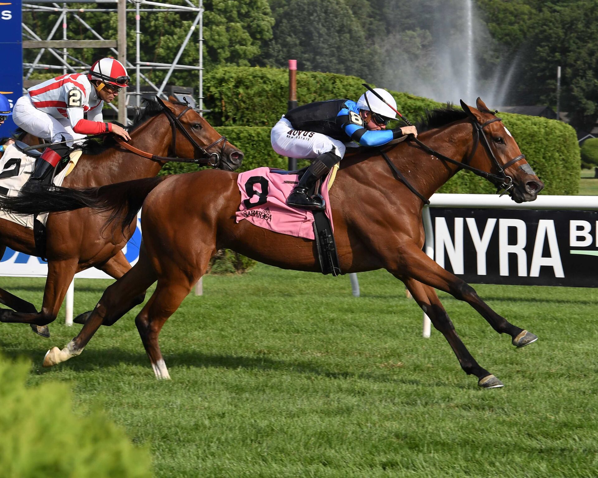 Pounce, horse, Lookin At Lucky, Lake George Stakes, sábado, 20 de julio de 2024, Saratoga. Foto: Coglaniese Photo & Susie Raisher