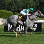 Whitebeam, horse, Caravaggio, Diana Stakes, sábado, 13 de julio de 2024, Saratoga. Foto: Coglaniese Photo & Susie Raisher