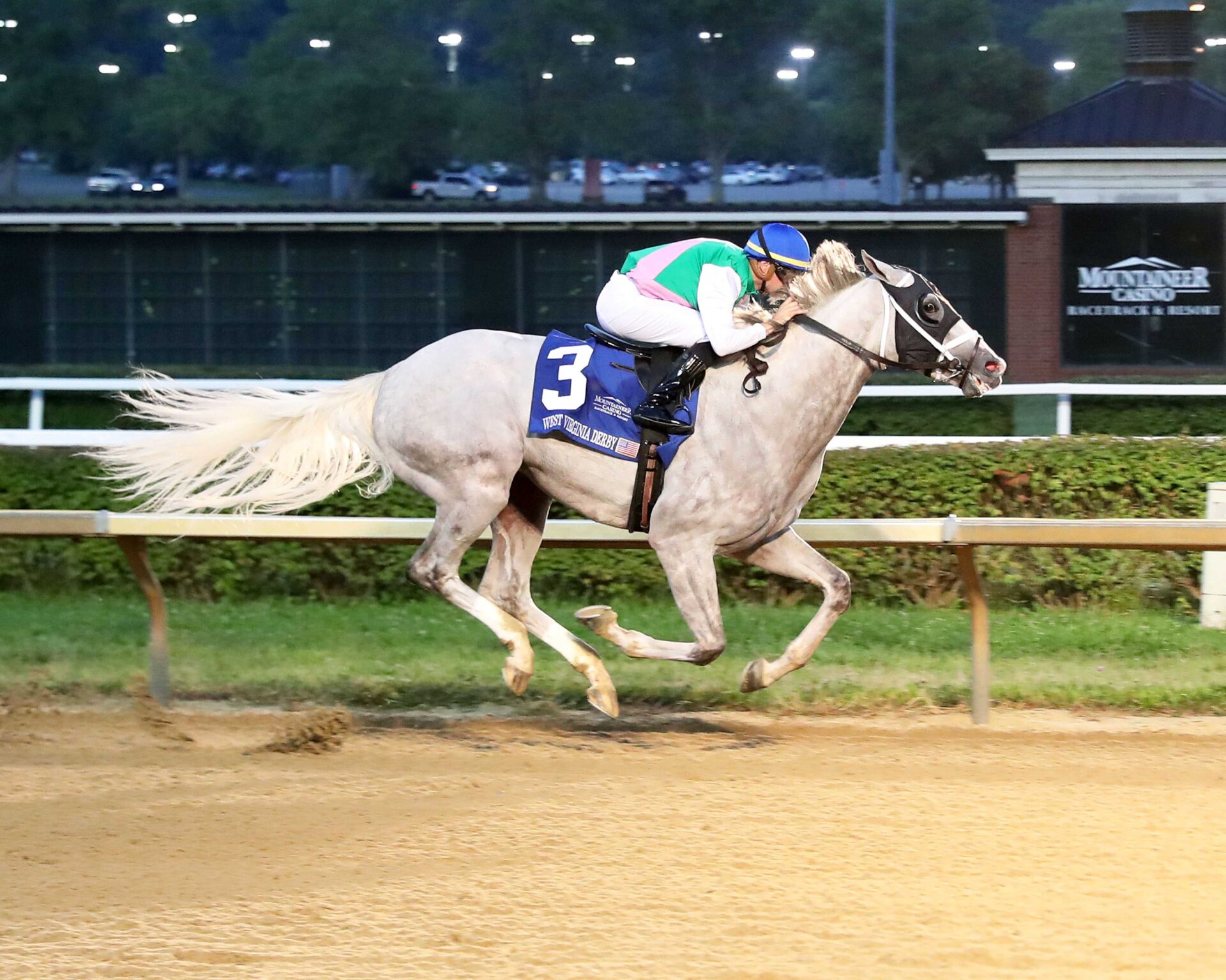 Dragoon Guard, horse, Arrogate, West Virginia Derby, domingo, 4 de agosto de 2024, Mountaineer Casino. Foto: Coady Media