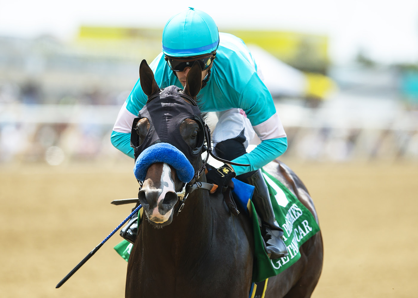 Getaway Car, horse, Curlin, Best Pal Stakes, domingo, 11 de agosto de 2024, Del Mar. Foto: Benoit Photo