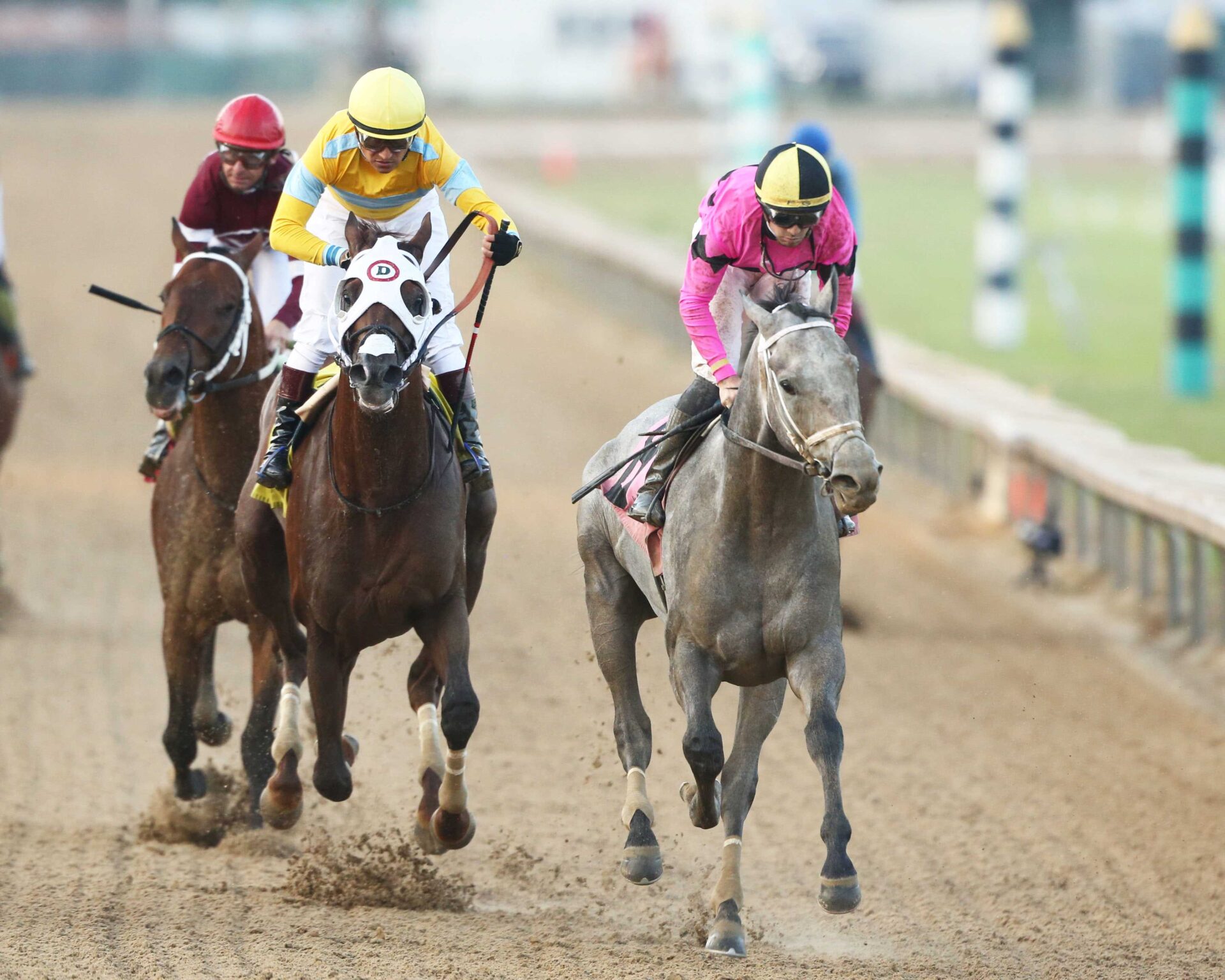 Hit Show, horse, Candy Ride, West Virginia Governor´s Stakes, domingo, 4 de agosto de 2024, Mountaineer Casino. Foto: Coady Media