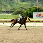 Ping Pong, horse, Haras Los Caracaros, Clásico Guardia Nacional, domingo, 4 de agosto de 2024, La Rinconada. Foto: José Antonio Aray