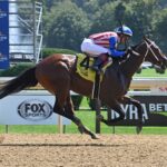 Accelerating, horse, Kaleem Shah, Seeking The Ante Stakes, domingo, 25 de agosto de 2024, Saratoga. Foto: Coglaniese Photo & Susie Raisher