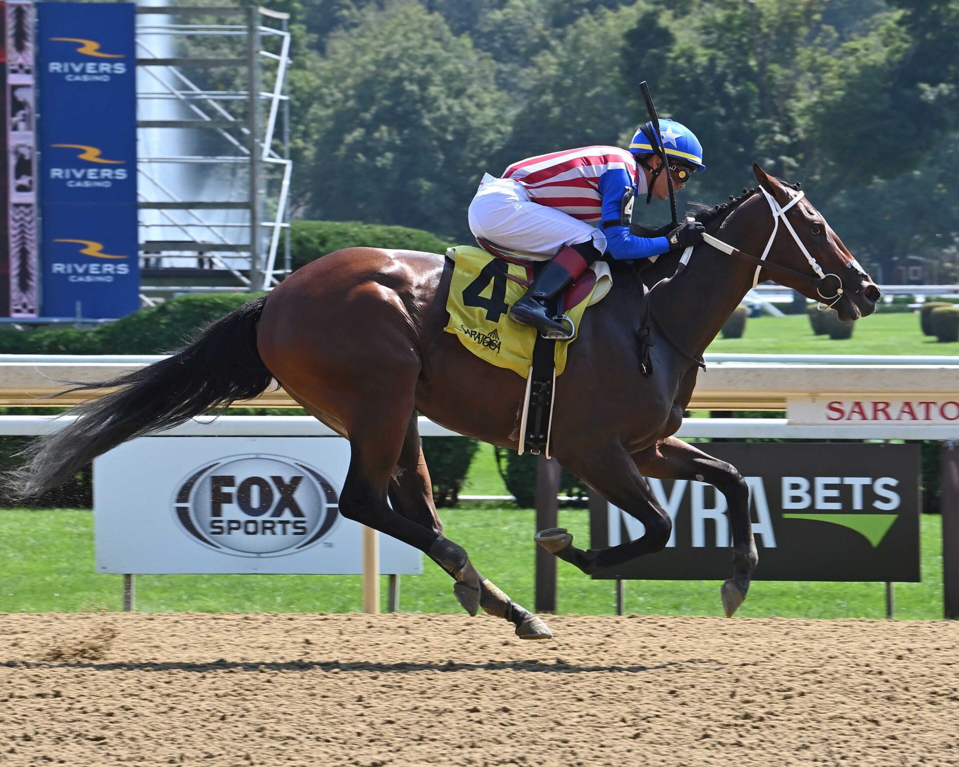 Accelerating, horse, Kaleem Shah, Seeking The Ante Stakes, domingo, 25 de agosto de 2024, Saratoga. Foto: Coglaniese Photo & Susie Raisher