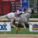 Arthur´s Ride, horse, Tapit, Whitney Stakes, sábado, 3 de agosto de 2024, Saratoga. Foto: Coglaniese Photo & Susie Raisher