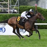 Awesome Czech, horse, Mendelssohn, Suzie O´Cain Stakes, miércoles, 14 de agosto de 2024, Saratoga. Foto: Coglaniese Photo & Susie Raisher
