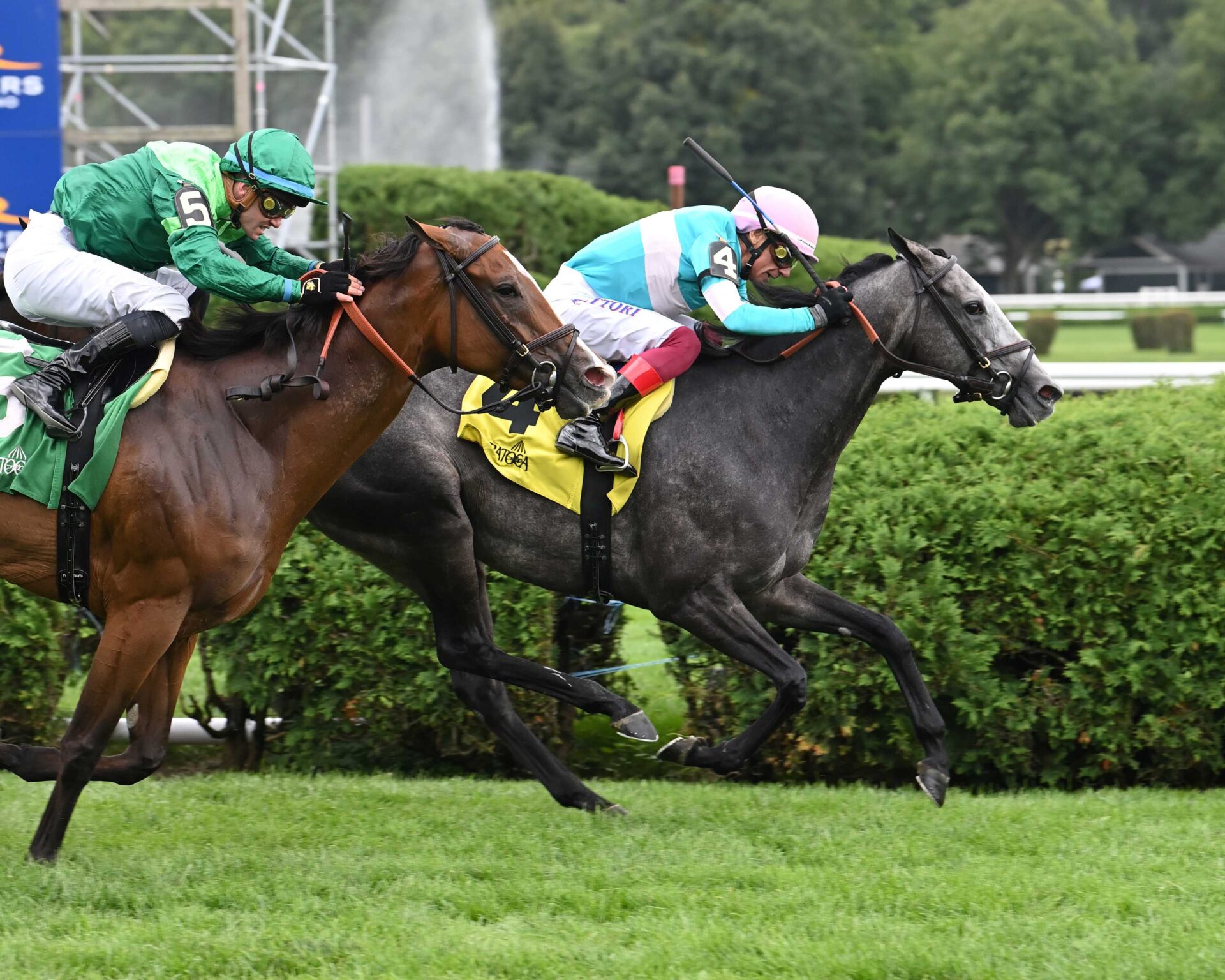 Beaute Cachee, horse, Literato (FR), Ballston Spa Stakes, jueves, 22 de agosto de 2024, Saratoga. Foto: Coglaniese Photo & Susie Raisher