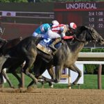 Domestic Product, horse, Klaravich Stables, H. Allen Jerkens Stakes, sábado, 24 de agosto de 2024, Saratoga. Foto: Coglaniese Photo & Susie Raisher