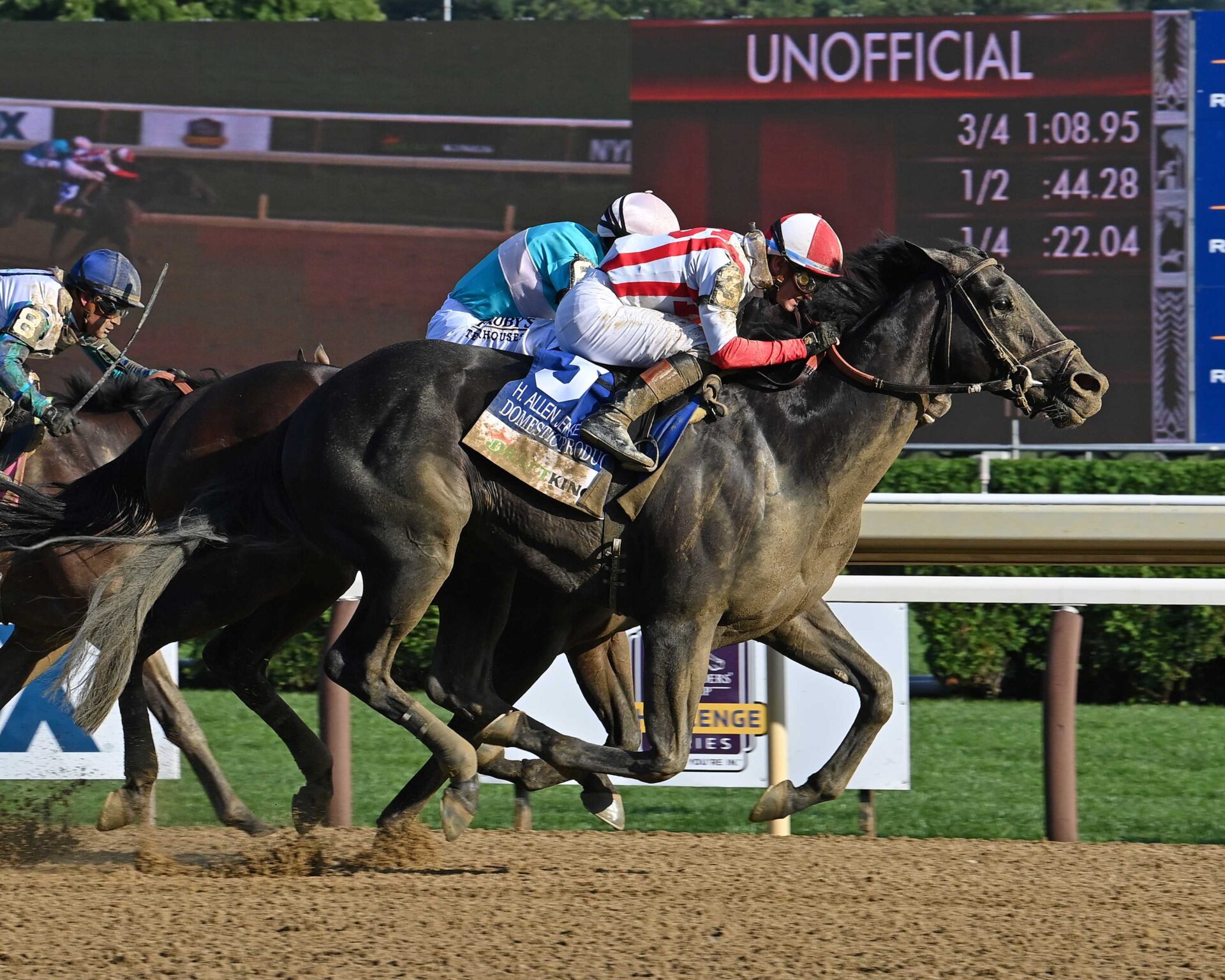 Domestic Product, horse, Klaravich Stables, H. Allen Jerkens Stakes, sábado, 24 de agosto de 2024, Saratoga. Foto: Coglaniese Photo & Susie Raisher