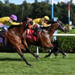 Fandom, horse, Showcasing (GB), Mahony Stakes, domingo, 11 de agosto de 2024, Saratoga. Foto: Coglaniese Photo & Susie Raisher