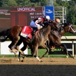Fierceness, horse, City Of Light, Travers Stakes, sábado, 24 de agosto de 2024, Saratoga. Foto: Coglaniese Photo & Susie Raisher