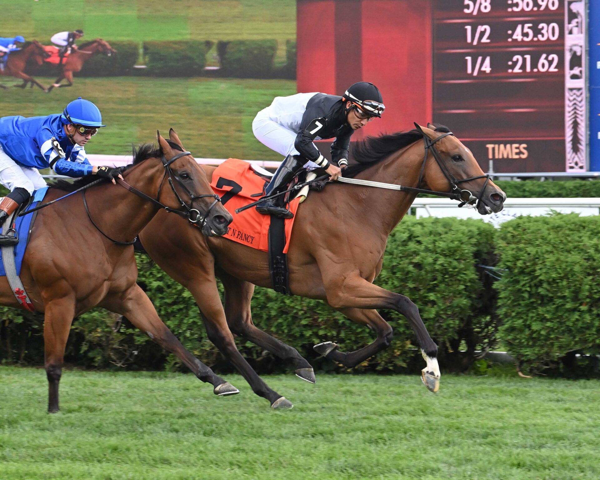 Future Is Now, horses, Great Notion, Smart N Fancy Stakes, viernes, 23 de agosto de 2024, Saratoga. Foto: Coglianese Photo & Susie Raisher