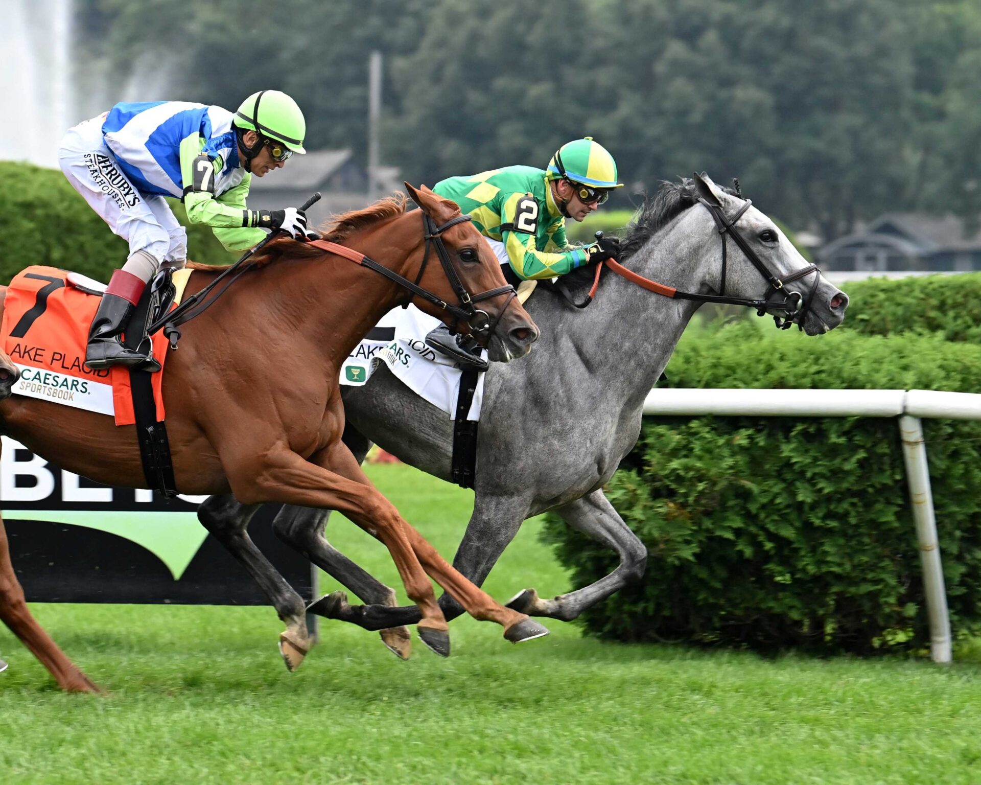Grayosh, horse, Yoshida, Lake Placid Stakes, sábado, 17 de agosto de 2024, Saratoga. Foto: Coglaniese Photo & Susie Raisher