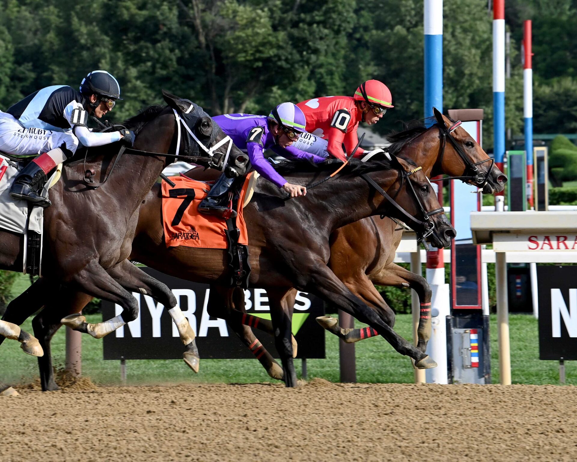 Halina´s Forte, horse, Mitole, Galway Stakes, sábado, 10 de agosto de 2024, Saratoga. Foto: Coglaniese Photo & Susie Raisher