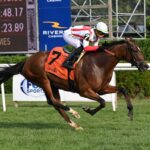 https://zonahipica.com/usa/mckulick-con-coraje-gano-en-el-glens-falls-stakes/