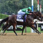 Mo Plex, horse, Complexity, Funny Cide Stakes, domingo, 25 de agosto de 2024, Saratoga. Foto: Coglaniese Photo & Susie Raisher