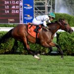 Moonage Daydream, horse, Candy Ride, Yadoo Stakes, domingo, 25 de agosto de 2024, Saratoga. Foto: Coglaniese Photo & Susie Raisher