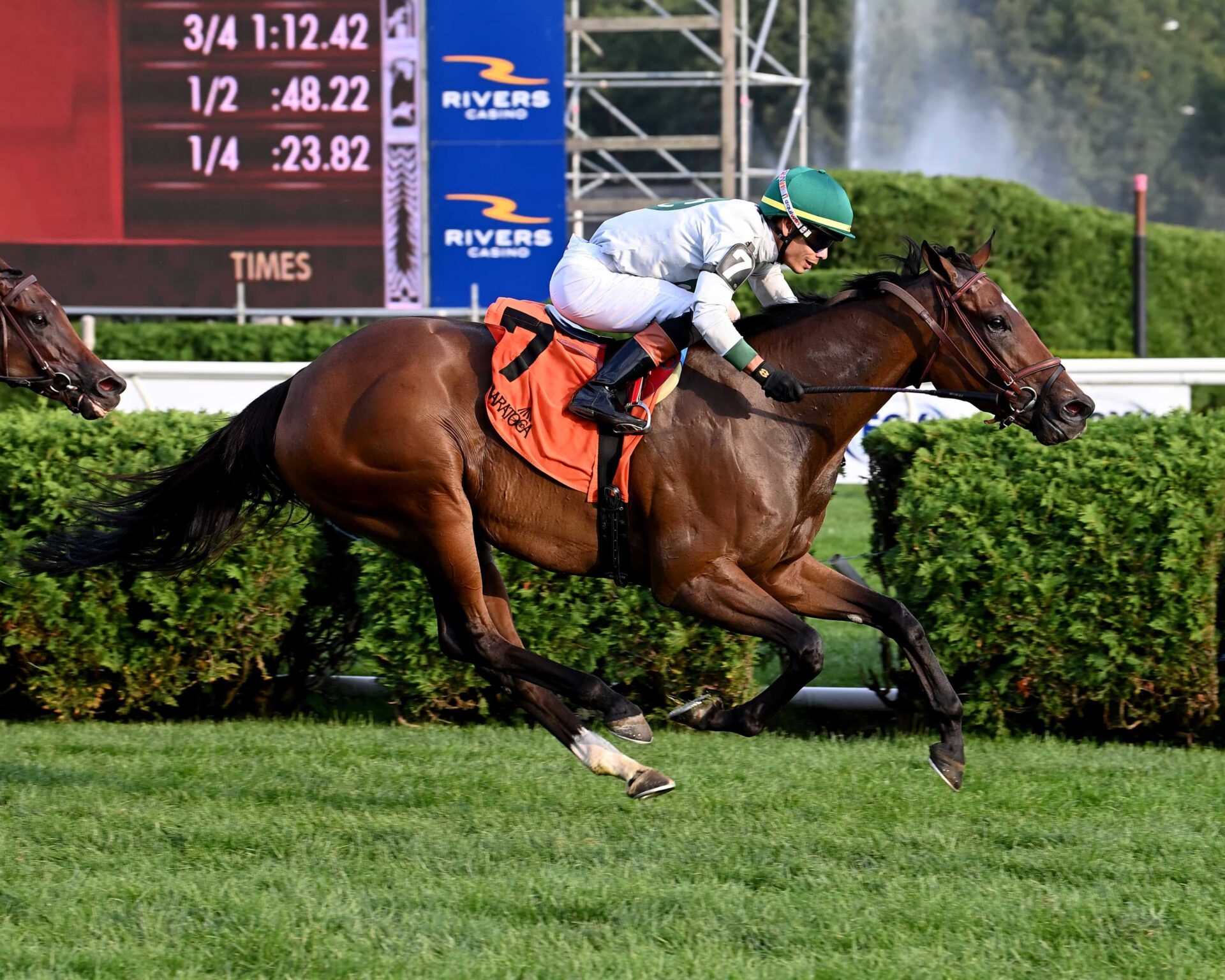 Moonage Daydream, horse, Candy Ride, Yadoo Stakes, domingo, 25 de agosto de 2024, Saratoga. Foto: Coglaniese Photo & Susie Raisher