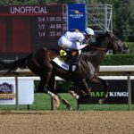 Mullikin, horse, Violence, Forego Stakes, sábado, 24 de agosto de 2024, Saratoga. Foto: Coglaniese Photo & Susie Raisher