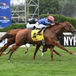 Neat, horses, Constitution, National Museum Of Racing Hall of Fame Stakes, viernes, 2 de agosto de 2024, Saratoga. Foto: Coglaniese Photo & Susie Raisher