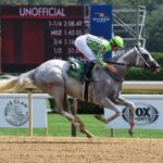 Next, horse, Not This Time, Birdstone Stakes, domingo, 4 de agosto de 2024, Saratoga. Foto: Coglianese Photo & Susie Raisher
