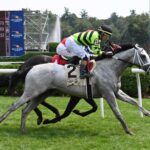 Out On Bail, horse, Tiz The Law, Skidmore Stakes, viernes, 16 de agosto de 2024, Saratoga. Foto: Coglaniese Photo & Susie Raisher