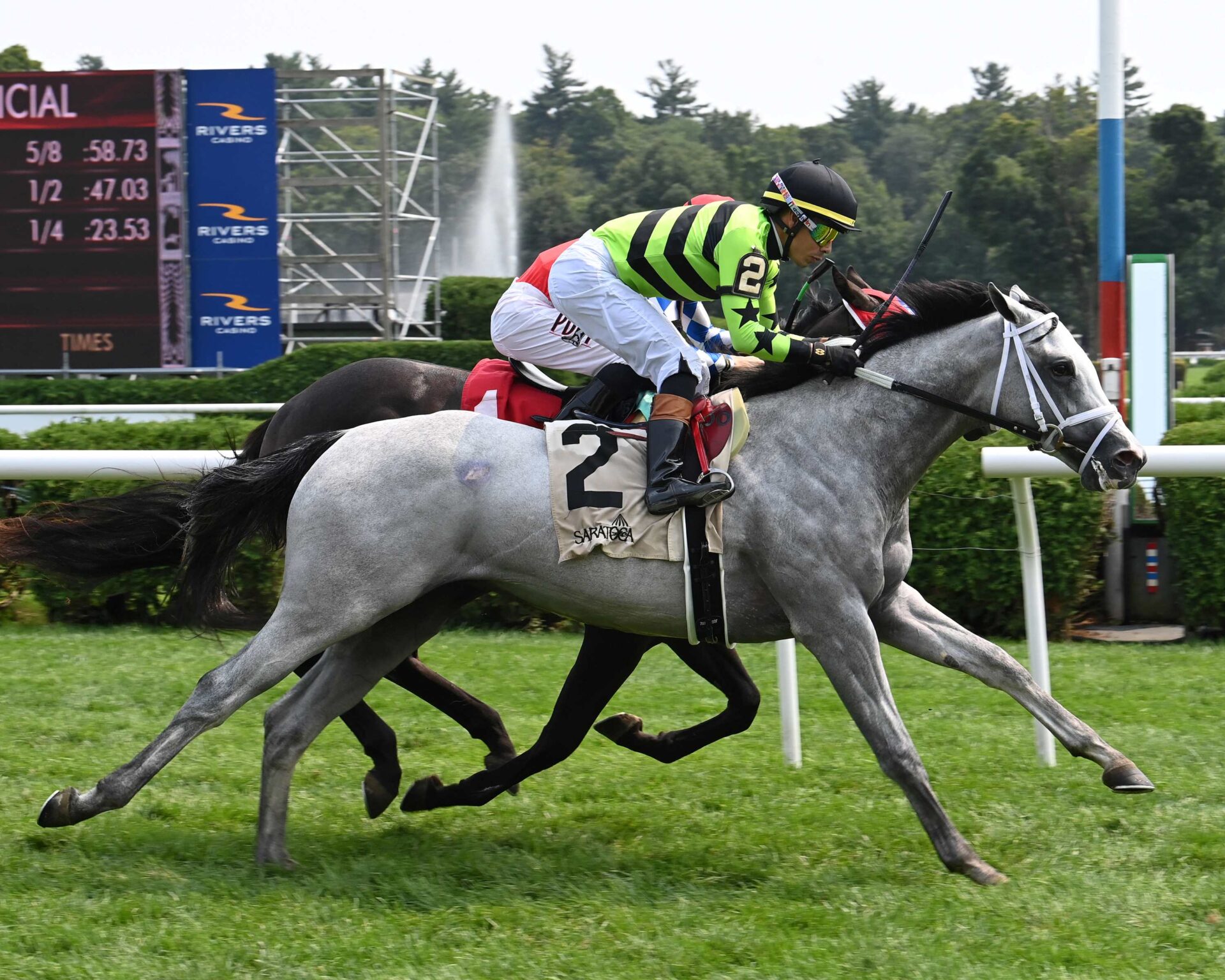 Out On Bail, horse, Tiz The Law, Skidmore Stakes, viernes, 16 de agosto de 2024, Saratoga. Foto: Coglaniese Photo & Susie Raisher