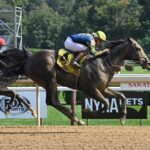 Pandagate, horse, Arrogate, Albany Stakes, domingo, 25 de agosto de 2024, Saratoga. Foto: Coglaniese Photo & Susie Raisher