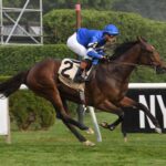 Silver Knott, horse, Godolphin, Bowling Green Stakes, domingo, 28 de julio de 2024, Saratoga. Foto: Coglaniese Photo & Susie Raisher
