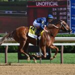 Society, horse, Gun Runner, Ballerina Stakes, sábado, 24 de agosto de 2024, Saratoga. Foto: Coglaniese Photo & Susie Raisher