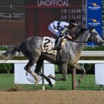 Sterling Silver, horse, Cupid, Johnstone Mile Hándicap, miércoles, 7 de agosto de 2024, Saratoga. Foto: Coglaniese Photo & Susie Raisher