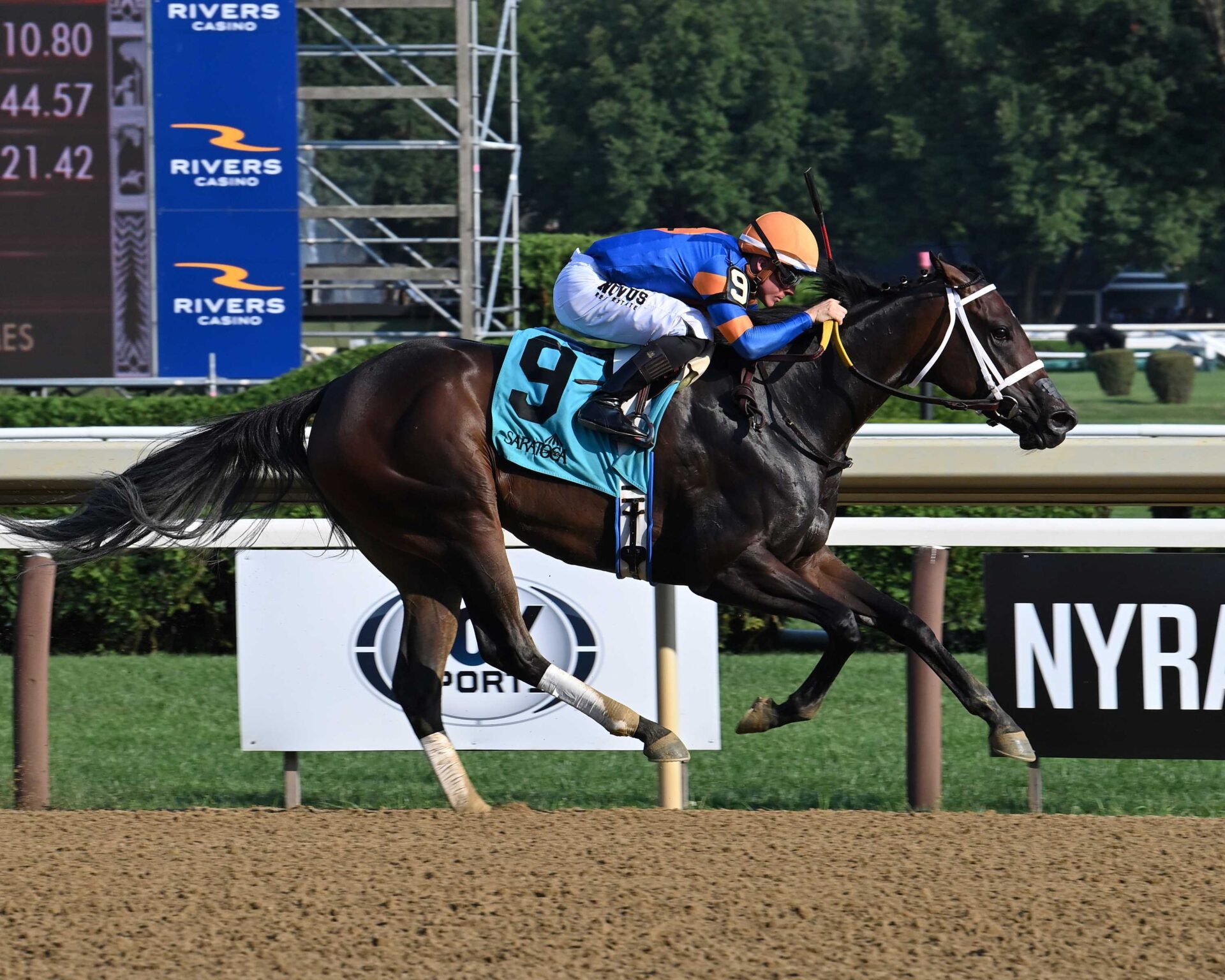 The Queens M G, horse, Thousand Words, Adirondack Stakes, domingo, 4 de julio de 2024, Saratoga. Foto: Coglaniese Photo & Susie Raisher