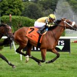 Totally Justified, horses, Justify, P. G. Johnson Stakes, miércoles, 28 de agosto de 2024, Saratoga. Foto: Coglaniese Photo & Susie Raisher