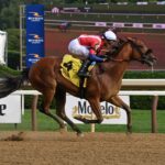 Tricky Temper, horse, Into Mischief, Union Avenue Hándicap, viernes, 16 de agosto de 2024, Saratoga. Foto: Coglaniese Photo & Susie Raisher