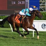 Zulu Kingdom, horse, Ten Sovereigns, With Anticipation Stakes, jueves, 24 de agosto de 2024, Saratoga. Foto: Coglaniese Photo & Susie Raisher