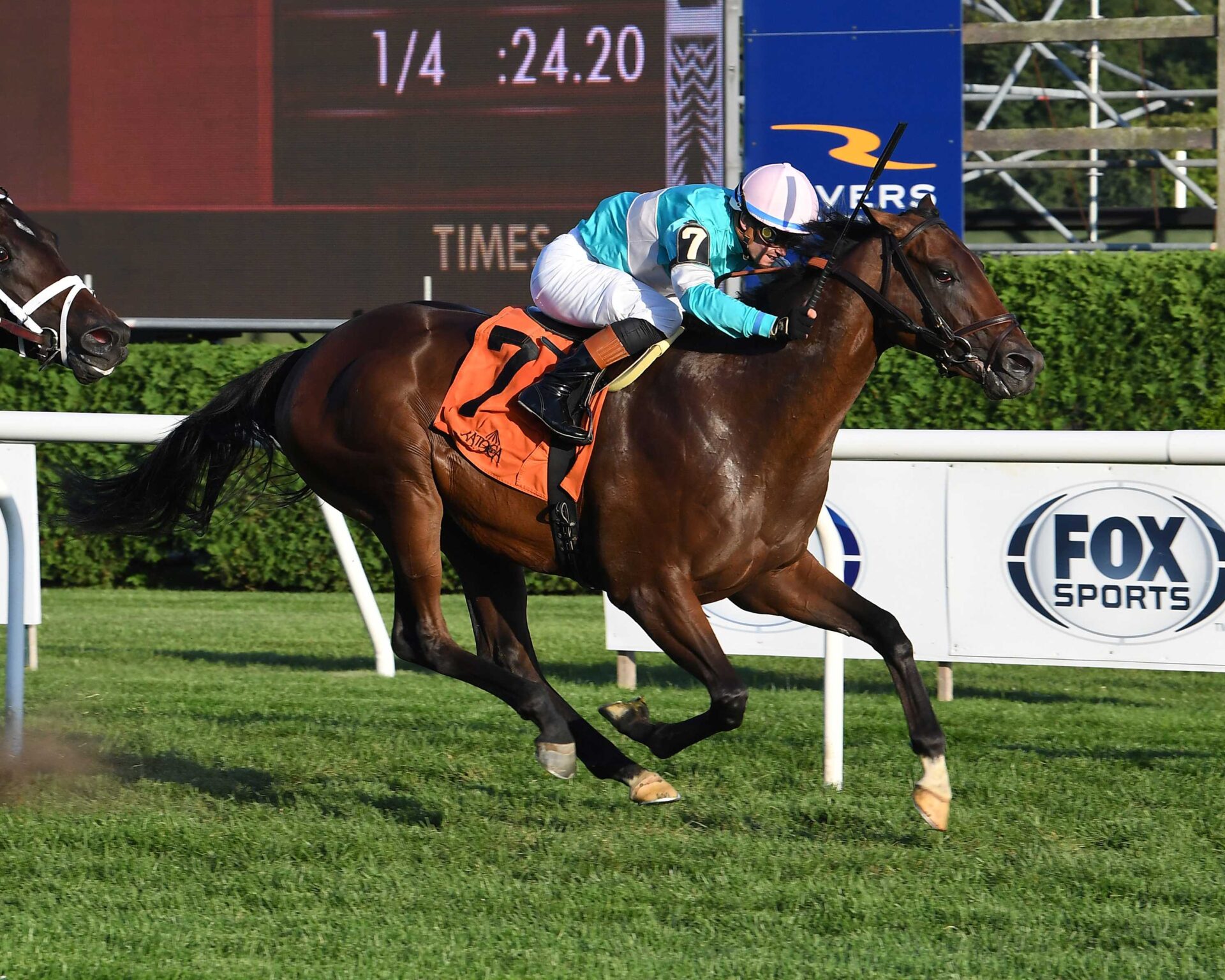 Zulu Kingdom, horse, Ten Sovereigns, With Anticipation Stakes, jueves, 24 de agosto de 2024, Saratoga. Foto: Coglaniese Photo & Susie Raisher