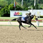 El Gran Eladio, horse, Haras La Primavera, Clásico Copa Invitacional del Caribe, domingo, 25 de agosto de 2024, La Rinconada. Foto: José Antonio Aray