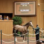 Potro, 169, Gun Runner en Princesa Carolina por Tapit, sesión 1, Keeneland Sales, lunes, 9 de septiembre de 2024, Keeneland. Foto: Keeneland