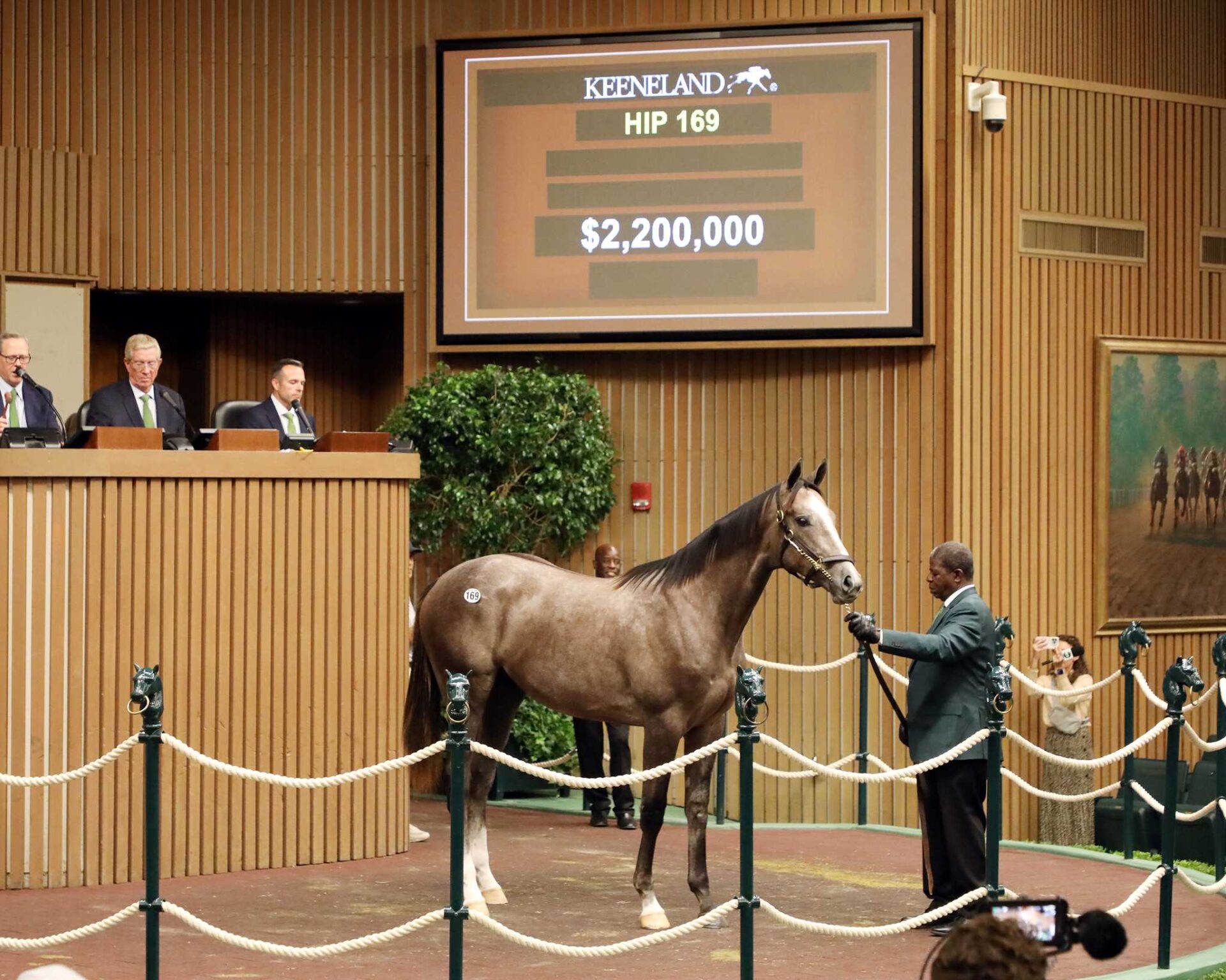 Potro, 169, Gun Runner en Princesa Carolina por Tapit, sesión 1, Keeneland Sales, lunes, 9 de septiembre de 2024, Keeneland. Foto: Keeneland